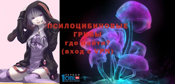 крисы Верея