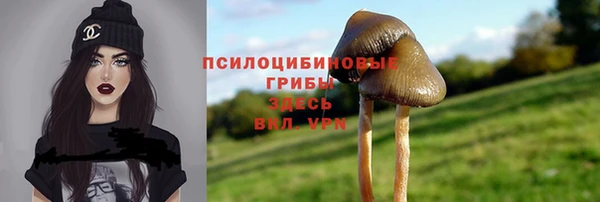 крисы Верея