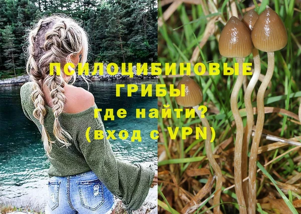 крисы Верея