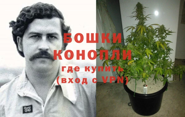 крисы Верея