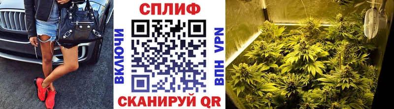 Шишки марихуана семена Находка